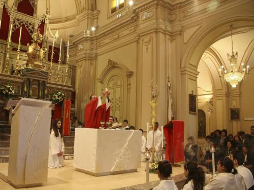 Architetto Ivana Laura Sorge. Punto Vendita Tomarchio - Gravina di Catania